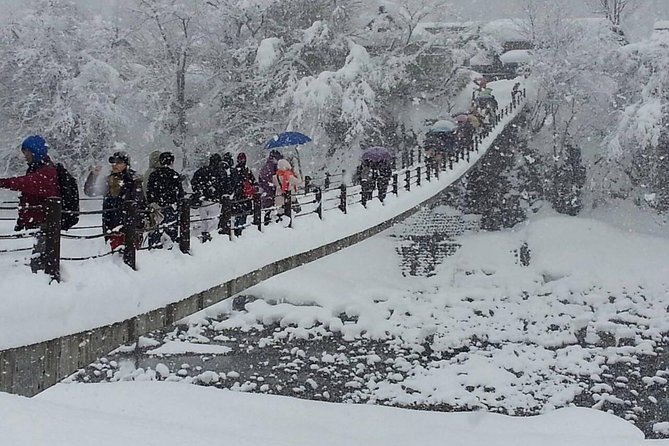 [One-Day Bus Tour Departing From Kanazawa Station] Shirakawa-Go and Gokayama - Two World Heritage Vi - Tour Safety and Accessibility