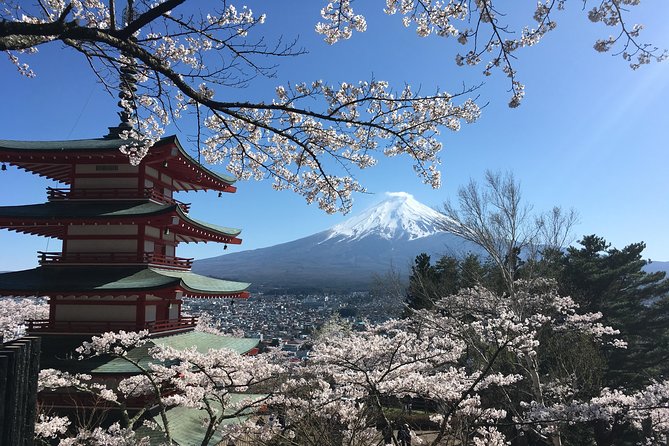 Private Car Mt Fuji and Gotemba Outlet in One Day From Tokyo - Tour Customization and Flexibility