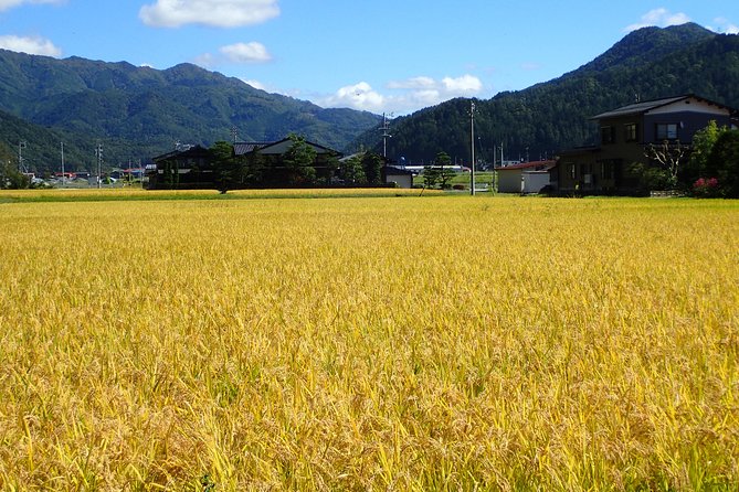 Private-group Morning Cycling Tour in Hida-Furukawa - Reviews and Tour Details