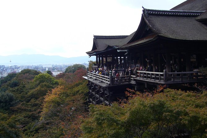 Private Highlights of Kyoto Tour - What to Expect on the Tour