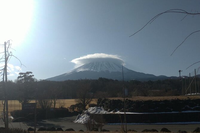 Exploring Mt Fuji Ice Cave and Sea of Trees Forest - Is This Tour Right for You