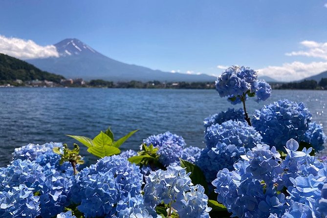 Lake Kawaguchiko Bike Tour - Booking and Cancellation Policies