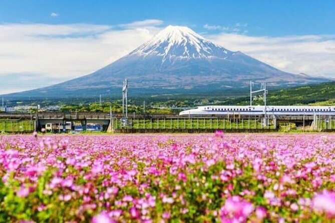 Private Mount Fuji and Hakone Sightseeing Day Trip With Guide - Tour Experience and Expectations