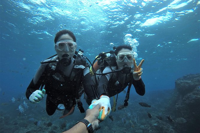 Blue Cave Experience Diving! [Okinawa Prefecture] Feeding & Photo Image Free! English, Chinese Guide - Just The Basics