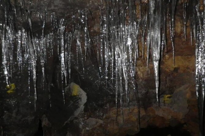 Exploring Mt Fuji Ice Cave and Sea of Trees Forest - Just The Basics