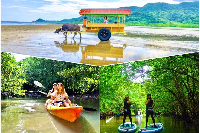 [Iriomote] SUP/Canoe Tour: Sightseeing on Yubujima Island - Just The Basics