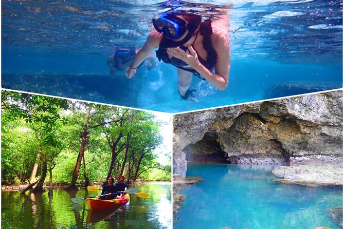 [Ishigaki] Mangrove Stand-Up Paddleboard/Canoe Blue Cave Snorkeling - Just The Basics