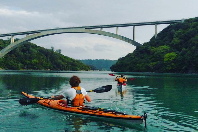 Kayak Mangroves or Coral Reef: Private Tour in North Okinawa - Just The Basics