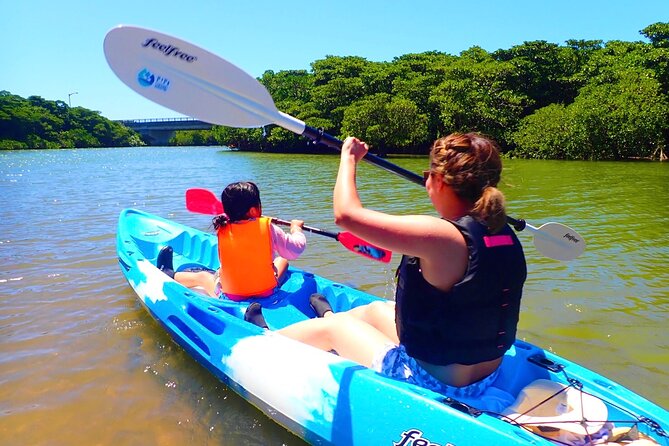 Miyara River 90-Minute Small-Group SUP or Canoe Tour  - Ishigaki - Just The Basics