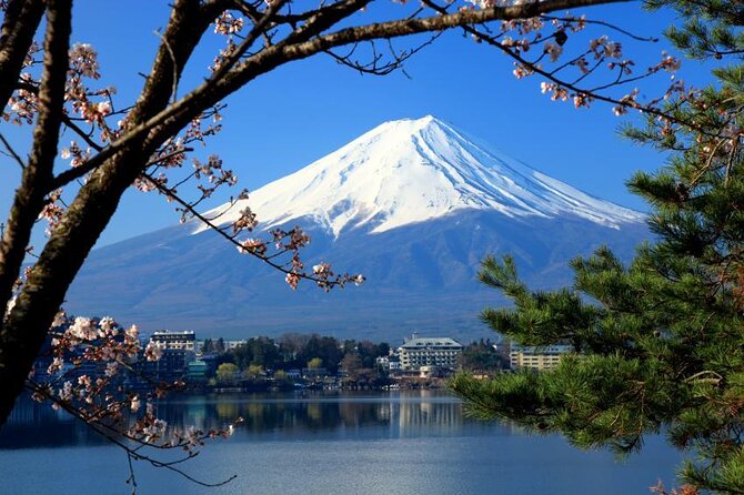 Mt. Fuji Highlights Full-Day Tour With Lunch From Tokyo - Just The Basics