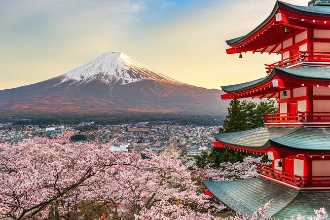 Mt. Fuji Private Full-Day Tour From Tokyo With Hotel Transfers  - Asakusa - Just The Basics