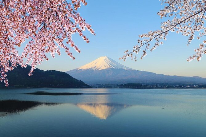 Private Mount Fuji and Hakone Sightseeing Day Trip With Guide - Just The Basics