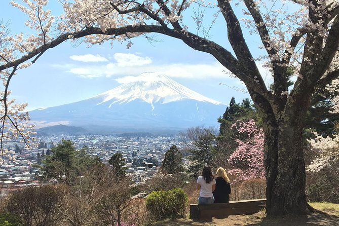 Private Three-Hour Highlights Tour, Fujikawaguchiko  - Fujikawaguchiko-machi - Just The Basics