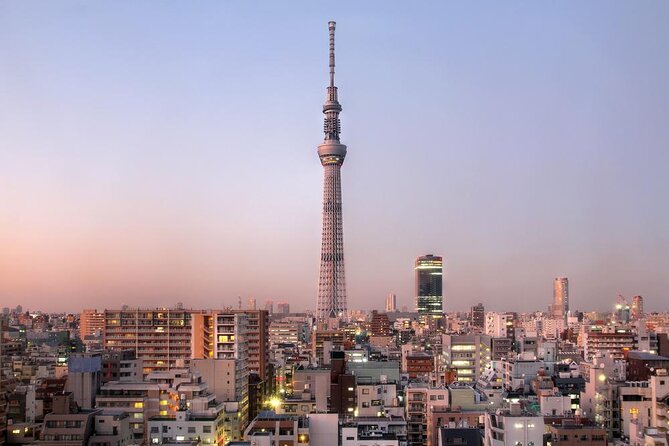 Tokyo by Bike: Skytree, Kiyosumi Garden and Sumo Stadium - Just The Basics