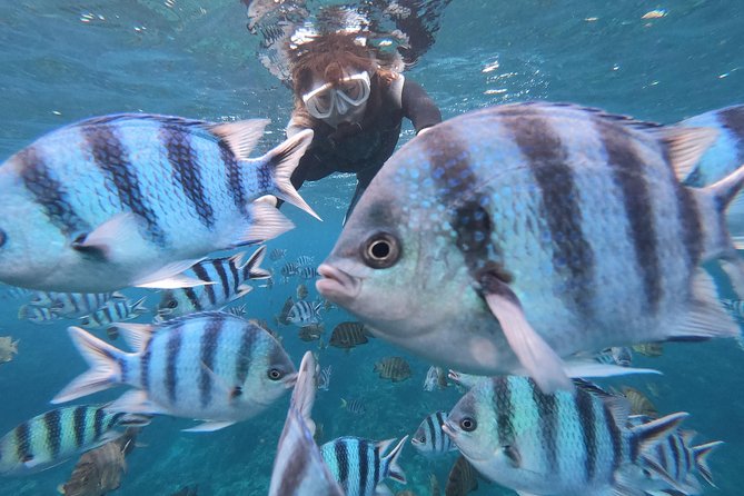 Two-Hour Group Snorkeling Trip to the Blue Cave  - Onna-son - Just The Basics