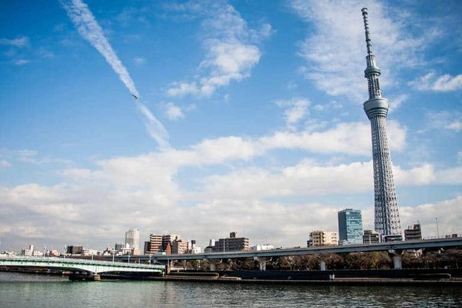 1 Day Charter Tour for Tokyo Sightseeing - Just The Basics