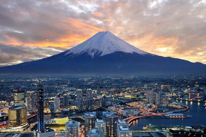 1 Day Charter Tour to Mt Fuji View - Just The Basics