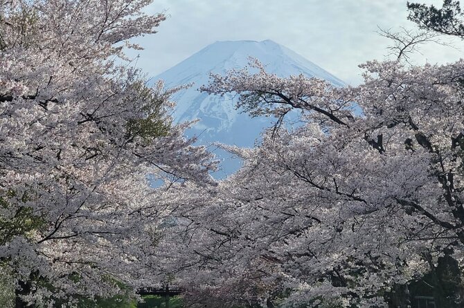 1 Day Tour Mt Fuji,Lake Kawaguchiko With English Speaking Guide - Just The Basics