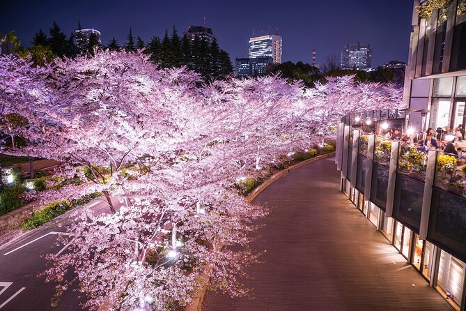 Cherry Blossom Private Tour - Reviews