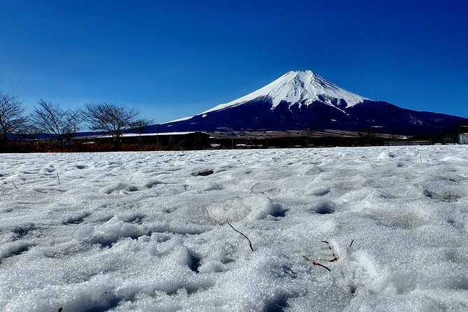 Full Day Private Guided Tour Mt. Fuji and Hakone - Cancellation Policy