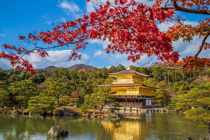 Kyoto and Nara 1 Day Bus Tour