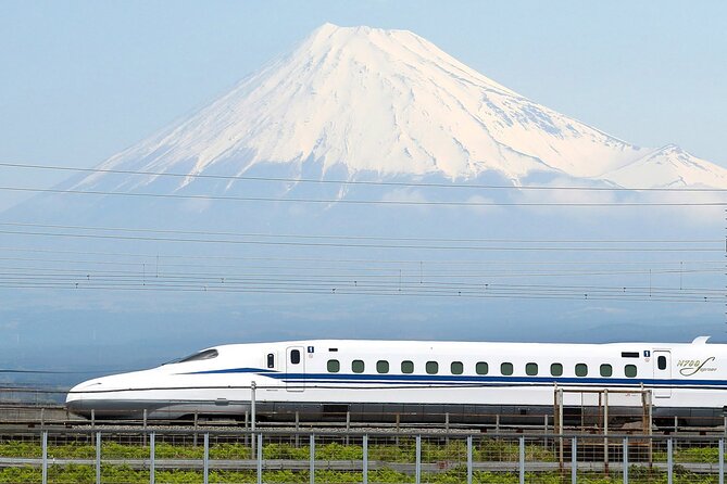 Mt. Fuji & Hakone Tour Tokyo Hotel Pick-Up & Drop-Off by Grayline