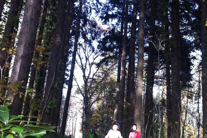 Nopporo Forest Mountain Bike Tour From Sapporo, Presenting a Retro Cycle Cap