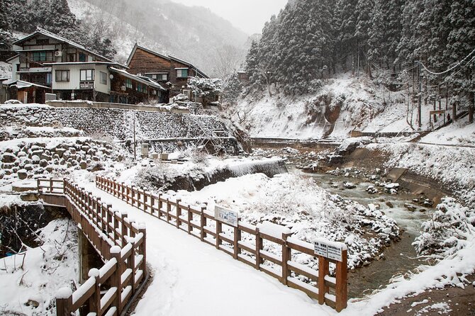 Snow Monkey, Zenko Ji Temple, Sake in Nagano Tour