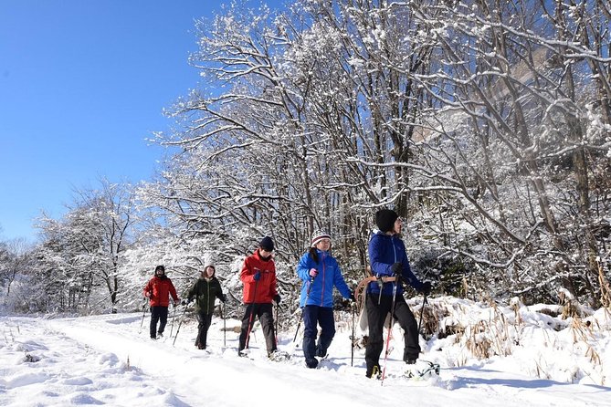 Snowshoe Hike Tour From Sapporo