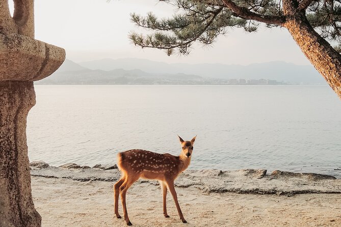 The Peace Memorial to Miyajima : Icons of Peace and Beauty