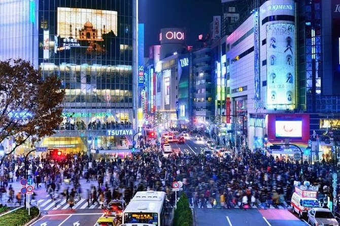 1 Day Charter Tour for Tokyo Sightseeing - Experienced Chauffeurs and Vehicles