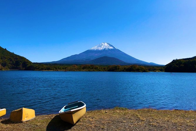 1 Day Charter Tour to Mt Fuji View - Itinerary Customization