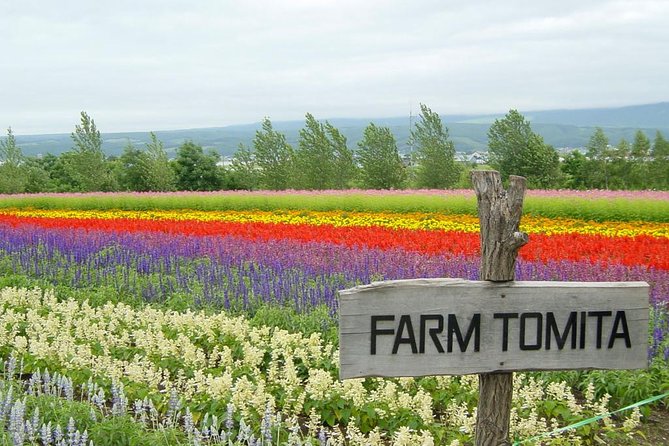 A Relaxing Day for Furano, Biei Blue Pond& Local Curry Lunch in Hokkaido! - Additional Information