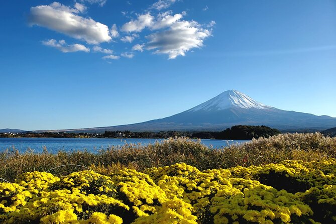 Full Day Mount Fuji Private Tour With English Speaking Guide - Customization Options