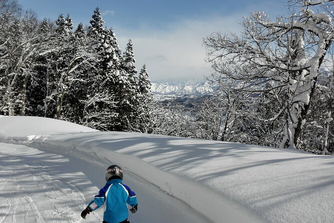 Full Day Ski Lesson (6 Hours) in Yuzawa, Japan - Inclusions