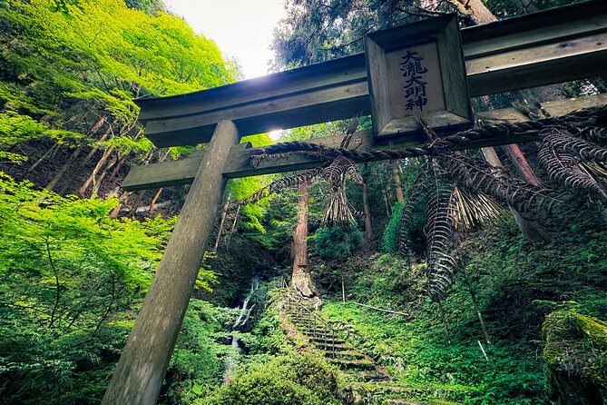 Green Tea Fields, Serene Beautiful Nature of Kyoto: Private Tour - Pricing Information