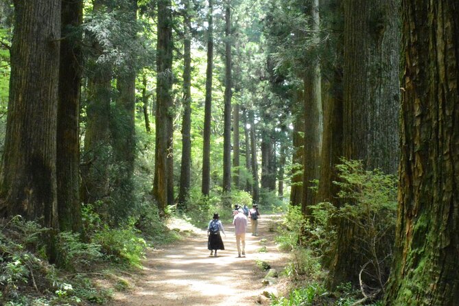 Hike Hakone Hachiri - Additional Info