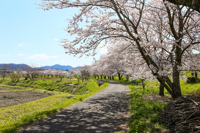 Japans Rural Life & Nature: Private Half Day Cycling Near Kyoto - Experience Highlights