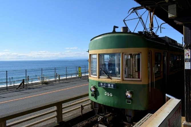 Kamakura Bamboo Forest and Great Buddha Private Tour - Reviews