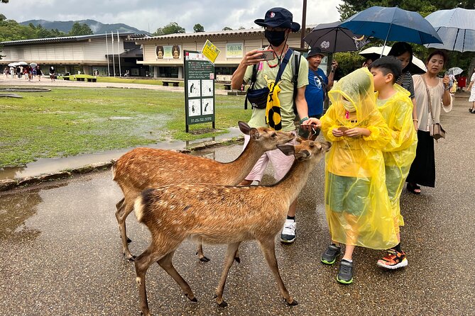 Kyoto and Nara 1 Day Bus Tour - Important Information for Participants