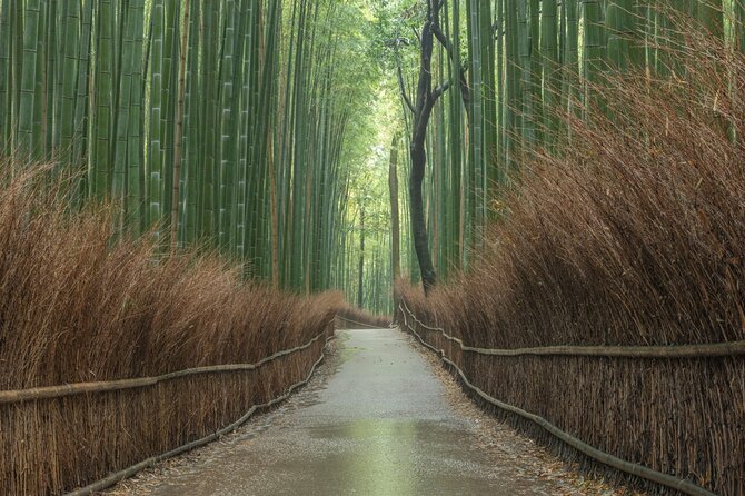 Kyoto Top Must-See Golden Pavilion and Bamboo Forest Half-Day Private Tour - Inclusions