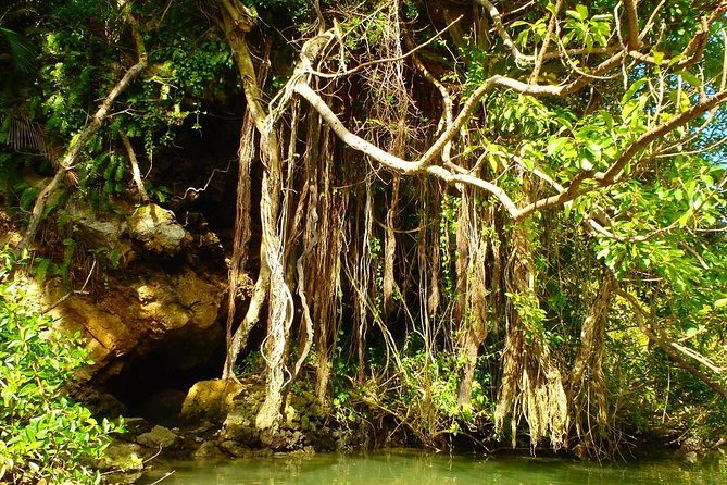 Mangrove Kayaking to Enjoy Nature in Okinawa - Gear and Age Requirements