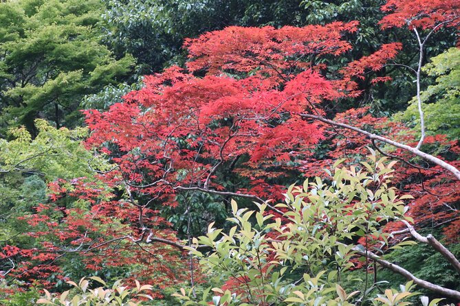 Minoh Waterfall and Nature Walk Through the Minoh Park - Tour Details