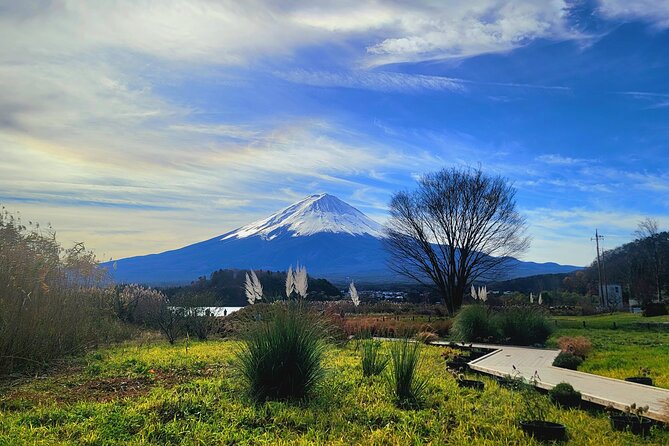 Mount Fuji and Hakone Full Day Private Sightseeing Tour - Customer Reviews