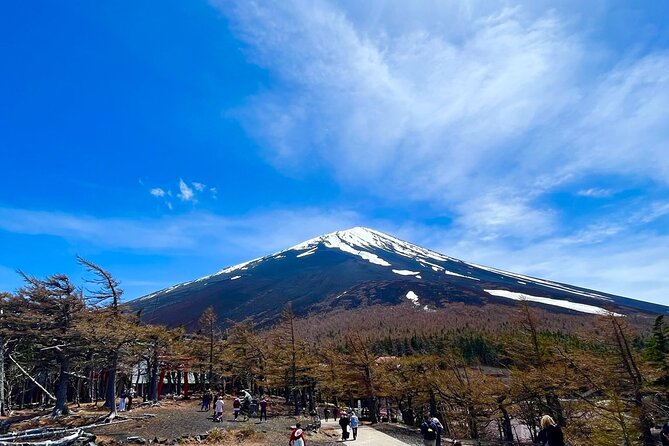 Mt. Fuji & Hakone Tour Tokyo Hotel Pick-Up & Drop-Off by Grayline - Tour Details