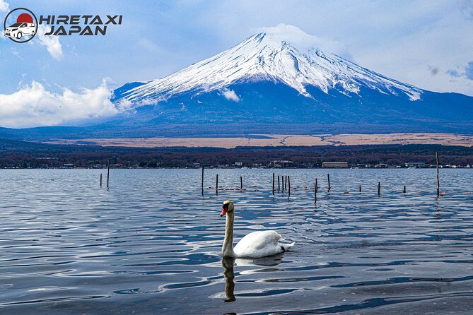 Mt. Fuji/ Private Tour Delivered and Guided by a Top-Tier Driver - Private Transportation and Amenities