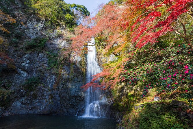 Nature Walk at Minoo Park, the Best Nature and Waterfall in Osaka - Getting Ready for the Nature Walk