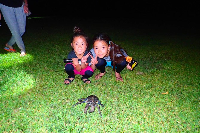 [Okinawa Iriomote] Night Adventure Tour - Inclusions and Exclusions