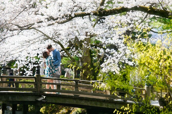 Photoshoot Session by Professional Photographer in Kanazawa - Pricing