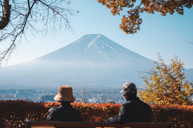 Private Mt Fuji, Hakone and Tokyo Tour-English Speaking Chauffeur - Additional Information